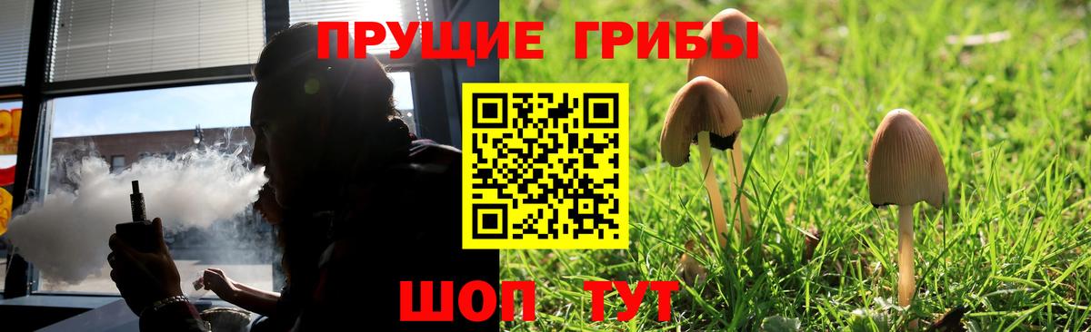 как найти наркотики  Псилоцибиновые грибы Psilocybine cubensis  Вход с VPN  Малоярославец 
